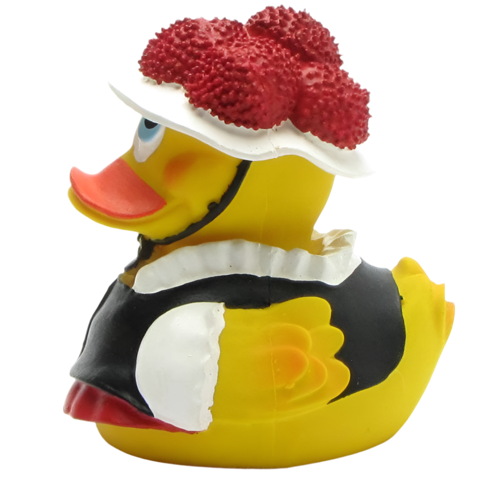 Canard de la ForĂȘt-Noire