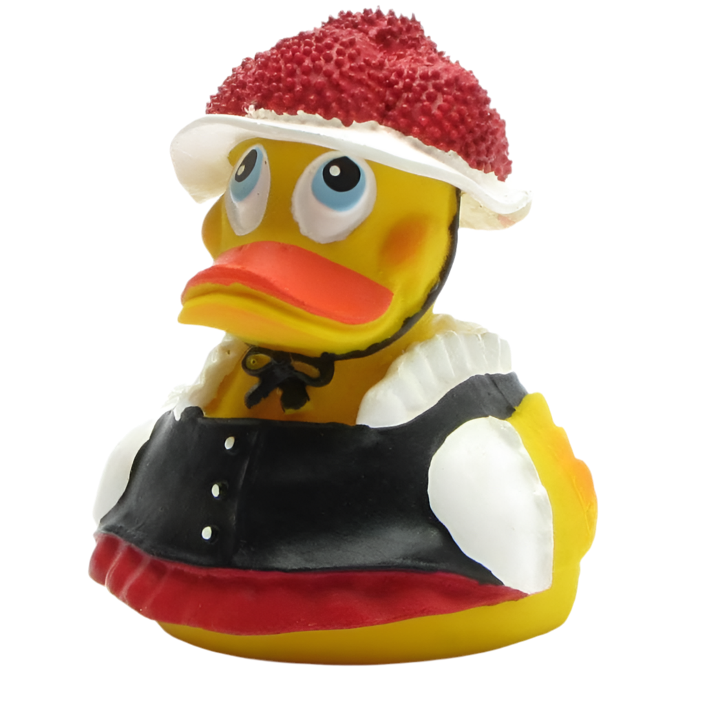 Canard de la ForĂȘt-Noire