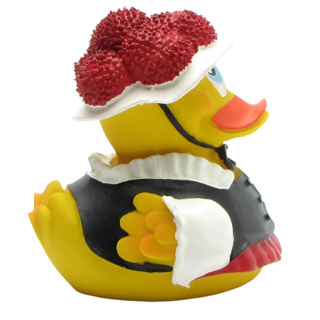 Canard de la ForĂȘt-Noire